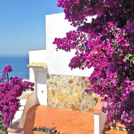 Splendido Studio, Vista Mare, A 5Mn Dalla Spiaggia - Casa Artevida Roses Exterior photo